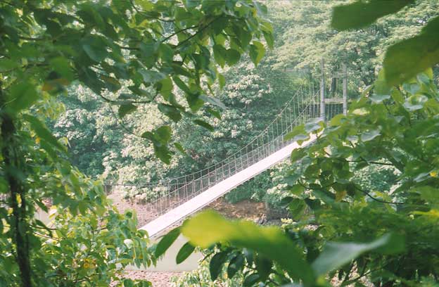 Hanging Bridge
